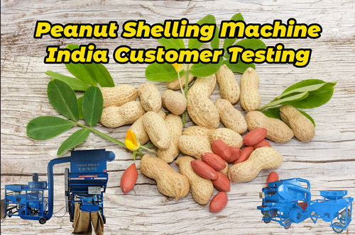 آخر أخبار الشركة عن كيفية إزالة قشرة الفول السوداني؟ - آلة تقشير الفول السوداني