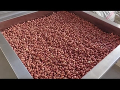 تحكم PLC المكسرات المستمرة الفرن المكسرات المستمرة محمص الجفاف / محمص