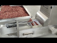 ناقل المصعد من النوع Z