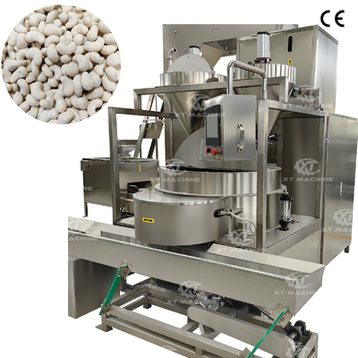 250-300kg/h آلة طلاء الفول السوداني التلقائية آلة طلاء الكاشيو